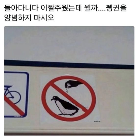 9b297ec6a9d79b7977b50866d5bf0dd2_1740051064_8096.png